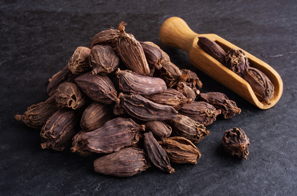 Large Cardamom